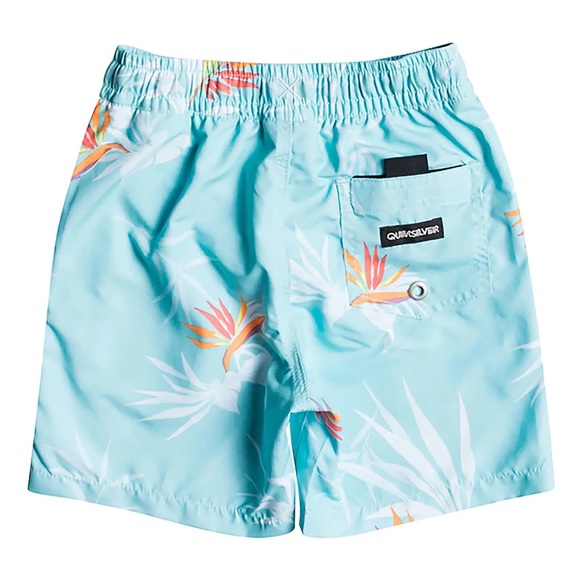 Boys Swim trunks Quicksilver - Picture 2 of 9